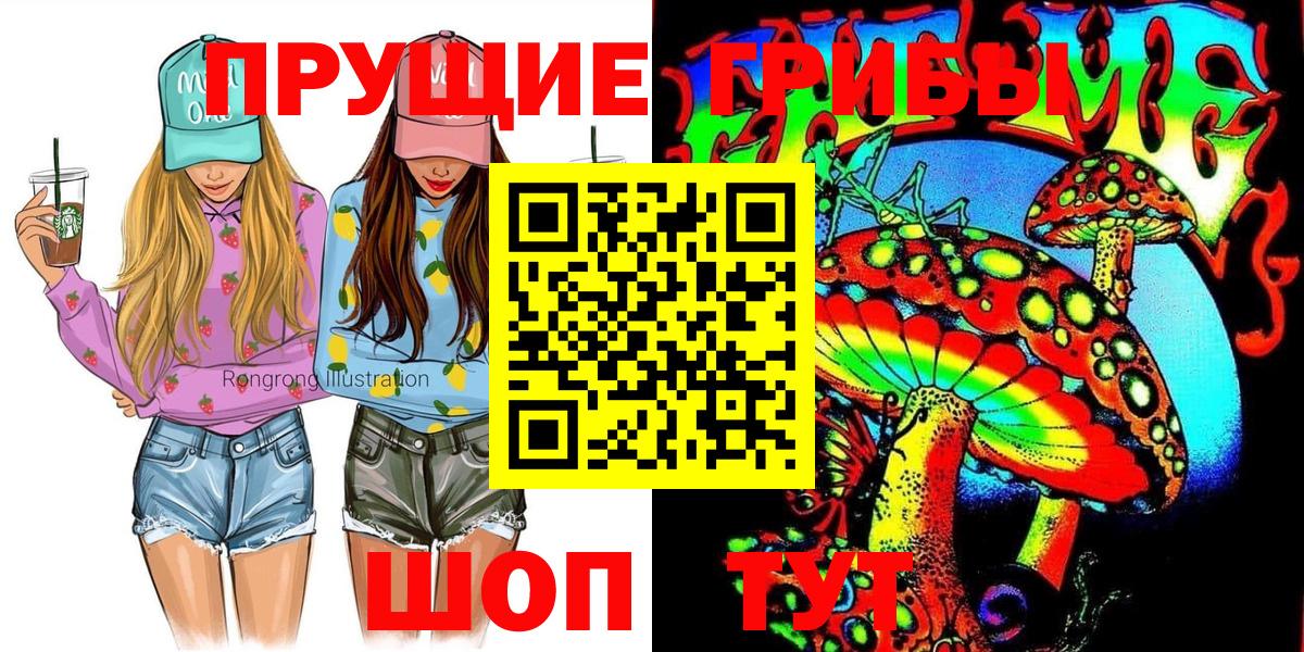 Псилоцибиновые грибы Psilocybe Сунжа
