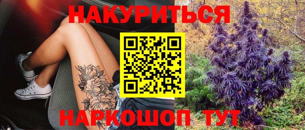Марихуана планчик  Шишки марихуана LSD WEED  Сунжа  Шишки марихуана Bruce Banner  Марихуана Ganja  Вход с VPN 